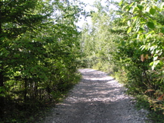 P8150078