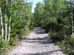 P8150079