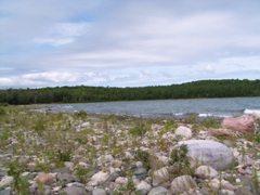 P8130104