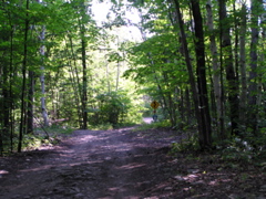 P8150082