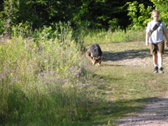 P8150085