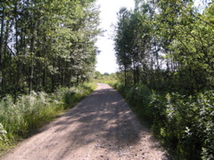 P8150086