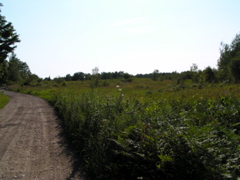 P8150087