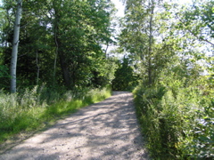 P8150089