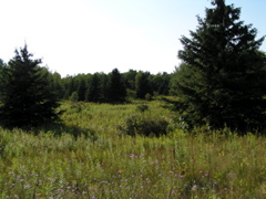 P8150090