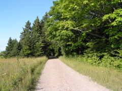 P8150091