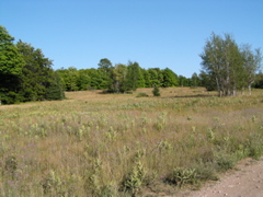 P8150094