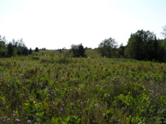 P8150095