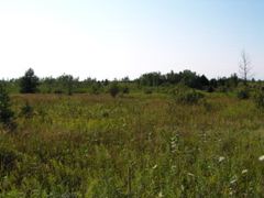 P8150096