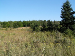 P8150097