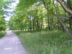P8150098
