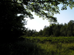 P8150099