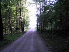 P8150102