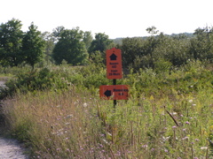 P8150104
