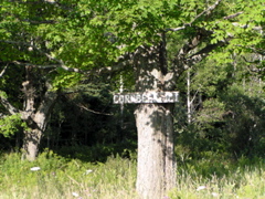 P8150108