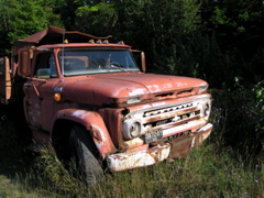 P8150110
