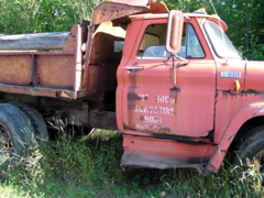 P8150111