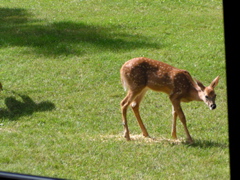 P8160118