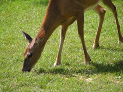 P8160119