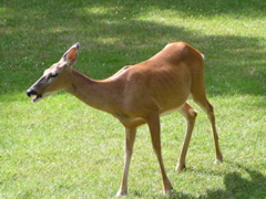 P8160120