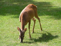 P8160121