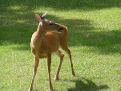P8160122