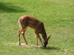 P8160125