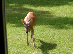P8160126