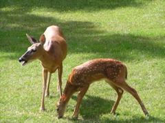 P8160127
