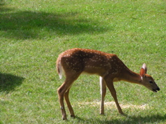 P8160129