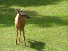 P8160130