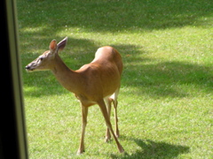 P8160131