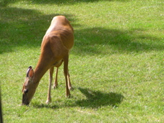 P8160133