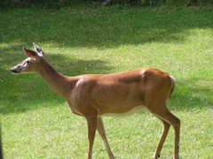 P8160134