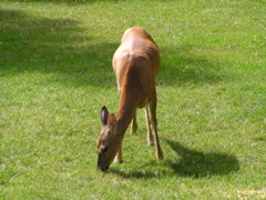 P8160135