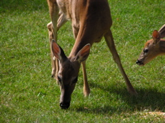 P8160139