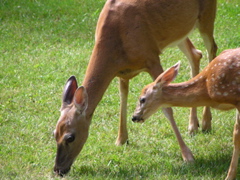 P8160140