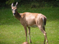 P8160141