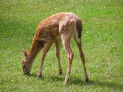 P8160142