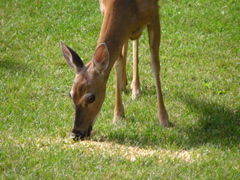 P8160143