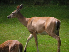 P8160144