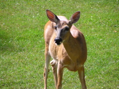 P8160145