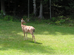 P8160147