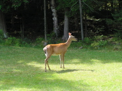 P8160148
