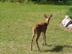 P8160150