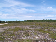 P8130131