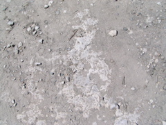 P8130132