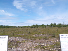 P8130133
