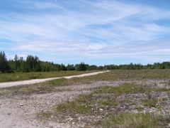 P8130134