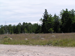 P8130139